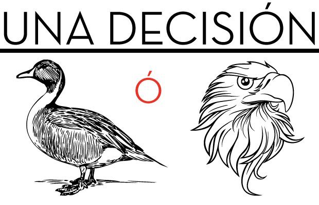 Una Decisión: Pato o Águila - No Más Excusas, Quejas, Pálidas
